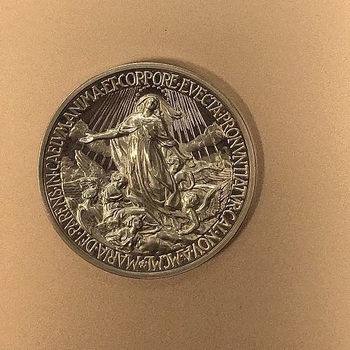 Pio XII Medaglia Straordinaria 1950 Rv 
